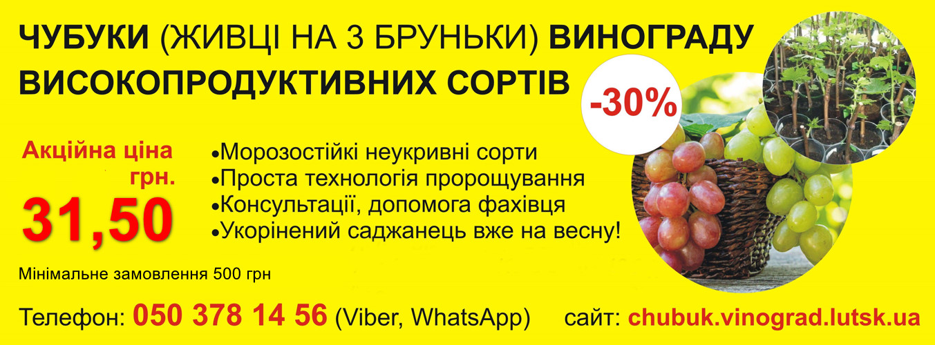Північний виноград