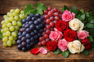 Для чого висаджують троянди на винограднику