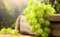 Консультація по хворобам винограду та його лікуванню